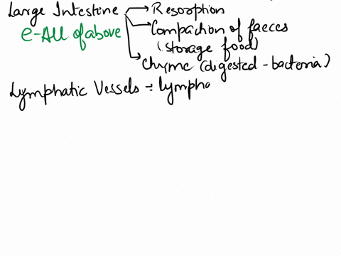 13-functions-of-the-large-intestine-include-a-chemical-digestion-of-chyme-b-temporary-food-storage-c-resorption-of-water-and-compaction-of-feces-d-absorption-of-the-products-of-digestion-e-a-70136