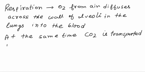 bio-34-gas-exchange-describe-the-movement-of-oxygen-and-carbon-dioxide-during-gas-exchange-multiple-choice-oxygen-diffuses-out-of-the-lungs-into-red-blood-cells-and-carbon-dioxide-diffuses-o-80872