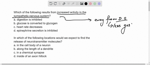 which-of-the-following-results-from-increased-activity-in-the-sympathetic-nervous-system-a-digestion-is-inhibited-b-glucose-is-converted-to-glycogen-c-heart-rate-decreases-d-epinephrine-secr-84766