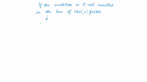 a-mutation-in-e-coli-resulted-in-loss-of-rho-factor-which-of-the-following-processes-would-be-affected-by-this-mutation-initiation-of-transcription-of-all-genes-initiation-of-transcription-o-18862