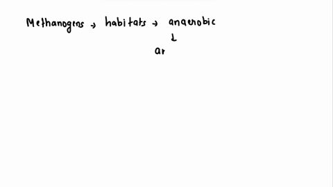 mention-the-habitat-in-which-methanogens-can-be-found-what-are-the-practical-importance-of-the-methanogens-03638