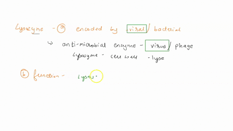 lysozyme-for-the-enzyme-answer-a-is-it-encoded-by-viral-or-bacterial-genes-in-other-words-is-it-a-bacterial-or-viral-enzyme-b-what-is-the-function-of-the-enzyme-c-does-it-contribute-to-the-l-75067