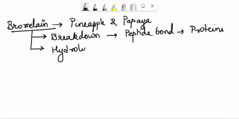 enzymes-can-perform-hydrolysis-on-their-substrate-or-they-can-perform-dehydration-bromelain-is-an-enzyme-that-is-found-in-pineapple-or-papaya-this-enzyme-breakdown-the-peptide-bond-of-protei-70997