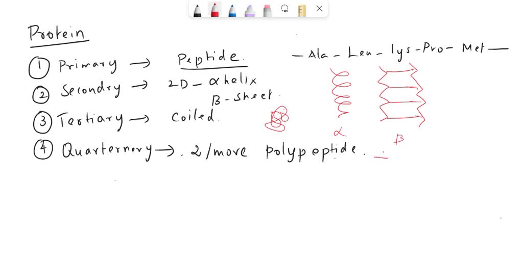 SOLVED 7. Outline the four levels of protein structure How does