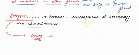 11_-humans_-gland-may-control-biorhythms-in-some-animals-and-control-the-onset-of-puberty-in-12-gland-stimulates-metabolic-rate-and-is-essential-to-normal-growth-and-development-13_-gland-st-86246