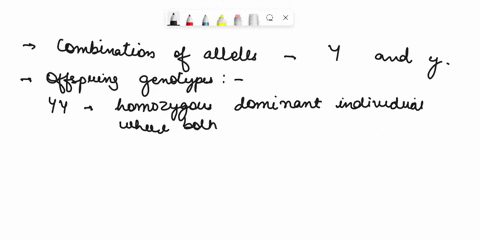 mendelian-genetics-questions-1-what-are-the-three-possible-offspring-genotypes-from-the-combination-of-y-and-y-2-identify-the-four-possible-gametes-produced-by-the-individuals-yyss-and-yyss-40557