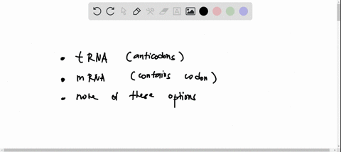 match-each-major-role-in-gene-expression-with-the-type-of-nucleic-acid-that-performs-that-role-the-same-type-of-nucleic-acid-may-be-used-more-than-once-brings-the-correct-amino-acid-choose-t-73393