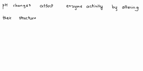 how-change-in-ph-affects-activity-of-enzymes-90942