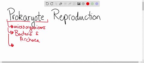 which-of-the-following-is-not-a-method-of-reproduction-for-prokaryotic-cells-a-baeocyte-production-b-meiosis-c-all-answer-options-are-potential-methods-of-reproduction-for-prokaryotic-cells-c-binary-f