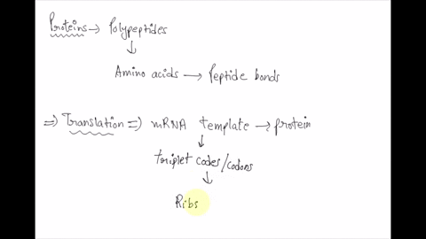 xfp-is-a-protein-that-is-2208-amino-acids-in-length-what-is-the-length-of-the-dna-coding-sequence-that-encodes-this-protein-46442