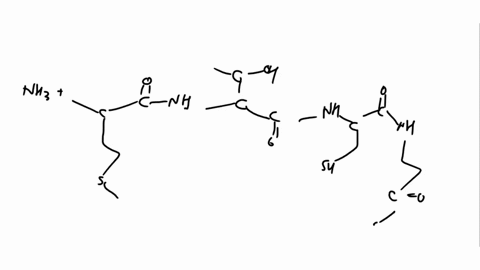 protein-aminqacid-sequence-methionine-threonine-cystine_-glycine-methionine-valine_-proline-lysine-_-methionine-glycine-alanine-serine-methionine-arginine-phenylalanine-isoleucine-part-ii-in-62607