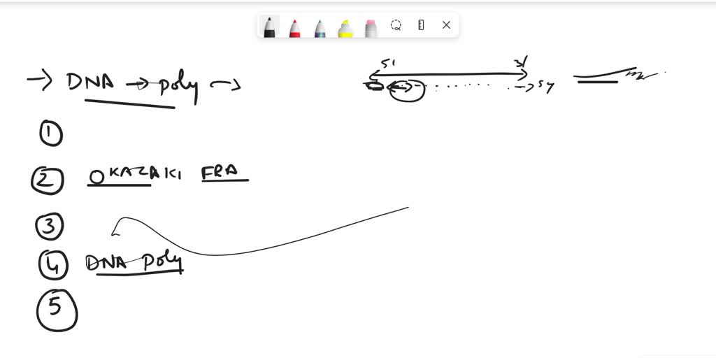 SOLVED: Complete the following vocabulary exercise related to DNA