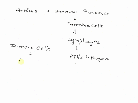 which-actions-are-involved-in-the-immune-response-09225