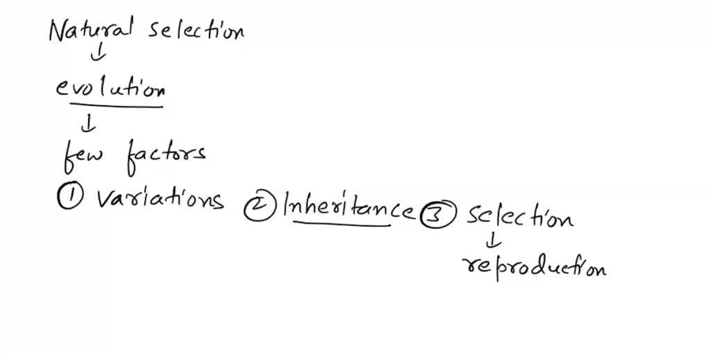 solved-what-are-the-four-4-requirements-for-natural-selection-to-occur
