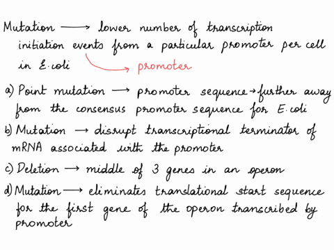 which-of-the-following-types-of-mutation-would-be-expected-to-result-in-a-lower-number-of-transcription-initiation-events-from-a-particular-promoter-per-cell-cycle-in-an-e-coli-cell-mark-any-00333