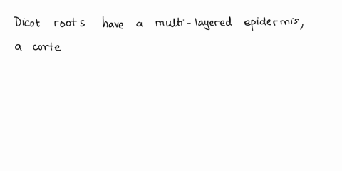 observe-the-internal-structures-of-a-cross-section-of-a-dicot-root-under-lpo-look-for-pictures-online-draw-the-specimen-in-the-space-provided-label-important-structures-describe-the-typical-37964