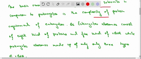 why-do-eukaryotes-have-larger-subunits-than-prokaryotes-94454
