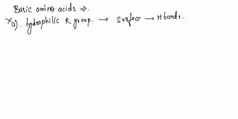 which-of-the-following-statements-is-true-regarding-a-basic-amino-acid-a-the-hydrophilic-r-group-of-a-basic-amino-acid-will-be-located-on-the-interior-of-a-protein-b-the-positively-charged-r-86897