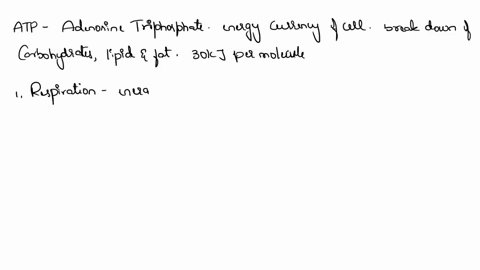 describe-the-function-of-atp-in-the-cell-26788