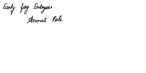question-28-all-of-the-following-statements-about-scientific-invesligation-are-true-except-sialistical-methods-hel-scientists-determine-differences-batween-groups-significant-the-use-model-s-49453