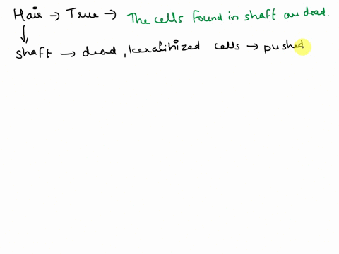 which-statement-is-true-regarding-hair-the-cells-found-in-the-hair-that-extends-out-of-the-skin-are-living-the-cells-found-in-the-shaft-are-dead-the-hair-root-is-located-in-the-epidermis-the-59965