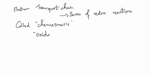 molecular-oxygen-02-plays-a-vital-role-in-aerobic-cellular-respiration-explain-the-role-of-oxygen-in-the-electron-transport-chain-and-comment-on-why-it-is-thermodynamically-favorable-for-oxy-12895