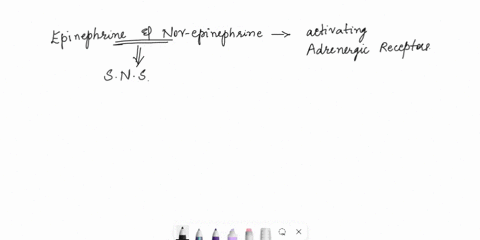 which-neurotransmitter-binds-to-alpha-and-beta-adrenergic-receptors-uttiple-choice-norepinephrine-acetylcholine-serotonin-dopamine-41842