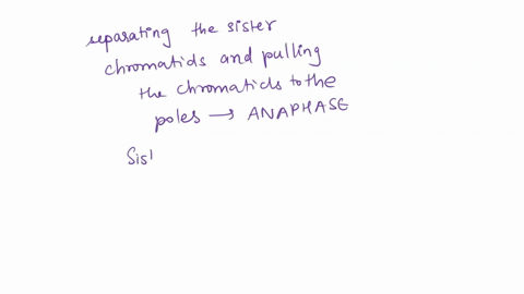 witnout-orossing-over-meiosis-il-microtubules-shorten-separating-the-sister-chromatids-and-pulling-the-chromatids-t0-the-poles-microtubules-elongate-the-cell-individual-chromatids-arrive-at-29228