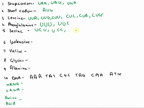terslor-questions-which-codons-act-as-termination-signals-amber_-ochre-an-opol-which-codon-means-start-list-all-of-the-codons-for-leucine-name-all-of-the-codons-for-these-amino-acids-phenyla-98353