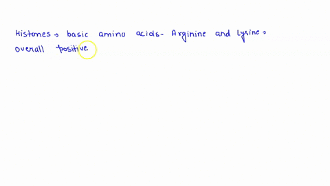 a-refer-to-the-figure-below-and-explain-dna-packaging-4-nucleus-cel-bas-dna-oi-double-nelu-describe-structural-featurecharacteristic-which-makes-histones-well-suited-for-attracting-and-assis-37499