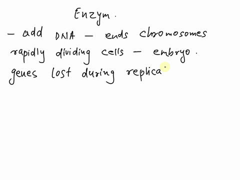what-enzyme-works-to-add-dna-to-ends-of-chromosomes-in-rapidly-dividing-cells-such-as-those-found-in-an-embryo-to-prevent-genes-from-being-lost-during-replication-a-dna-polymerase-b-histones-68524