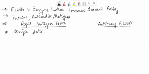 what-is-the-difference-when-comparing-the-rapid-antigen-elisa-test-and-the-antibody-elisa-test-how-is-it-set-up-differently-and-what-are-the-different-methods-40816