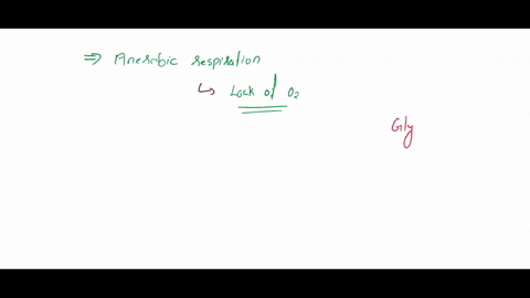 anaerobic-respiration-isare-2_-a-the-kreb-s-cycle-b-fermentation-c-glycolysis-d-electron-transport-e-answers-b-and-only-are-correct-46544
