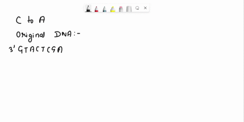 using-the-dna-strand-below-create-an-mrna-transcript-and-using-that-mrna-transcript-create-protein_-3g-t-i-c-t-c-g-a-g-t-i-g-c-a-4-t-a-g-c-t-i-a-4-4-t-g-c5-what-is-the-effect-of-having-the-s-52705