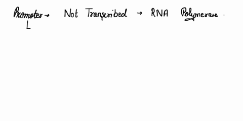 the-promoter-is-transcribed-is-translated-tells-which-strand-to-read-is-transcribed-and-tells-which-strand-to-read-75533