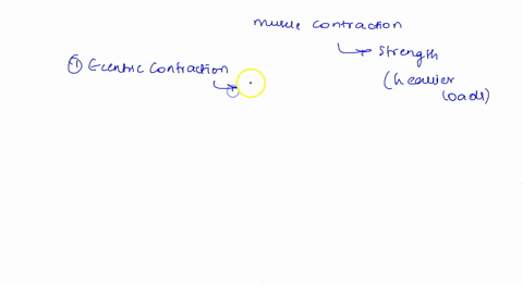 which-type-of-muscle-contraction-has-been-shown-to-be-particularly-effective-at-building-strength-because-heavier-loads-can-be-used-select-one-a-eccentric-contraction-b-concentric-contractio-09723