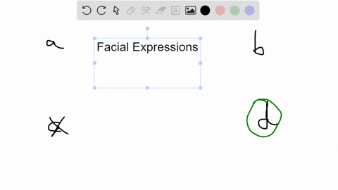 research-on-facial-expressions-has-taught-us-that-facial-expressions-are-a-inherent-to-a-region-and-50392