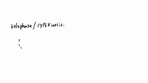 using-the-image-above-approximately-how-many-whole-cells-are-in-telophasecytokinesis-note-that-this-image-has-also-been-included-in-the-accompanying-bonus-pdf-8-16-12-1-20237