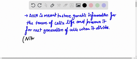 why-is-dna-double-stranded-but-rna-single-stranded