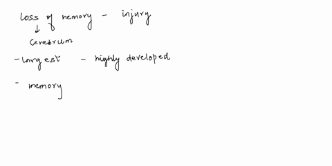 loss-of-memory-may-result-from-injury-to-the-______a-corpora-quadrigemina-b-pons-varolii-c-cerebellum-d-cerebrum-67282