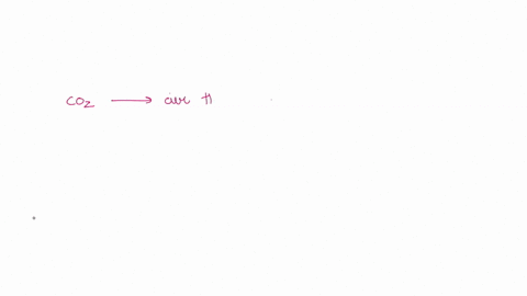 how-does-a-plant-obtain-the-carbon-dioxide-it-needs-for-photosynthesis-82963