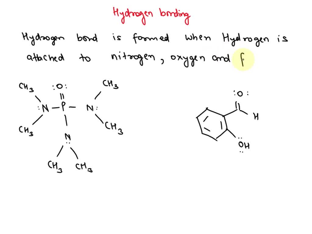 SOLVED: A molecule or ion that donates the hydrogen in hydrogen bond is ...