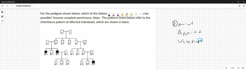 for-the-pedigree-shown-below-which-of-the-following-patterns-of-inheritance-isare-possible-assume-complete-penetrance-note-the-patterns-listed-below-refer-to-the-inheritance-pattern-of-affec-99453