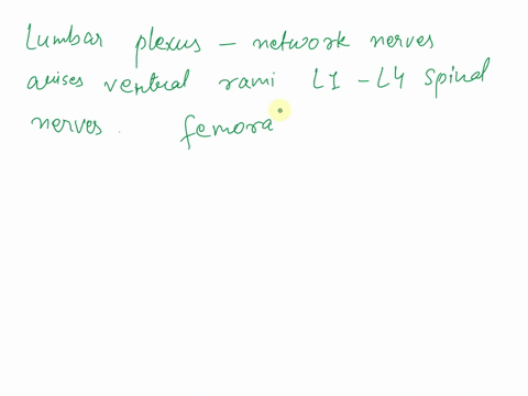 the-lumbar-plexus-gives-rise-to-the-a-median-nerve-b-phrenic-nerve-c-femoral-nerve-d-none-of-the-above-55594