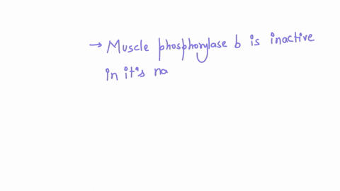 what-is-incorrect-about-the-enzyme-phosphorylase-a-phosphorylase-kinase-is-an-enzyme-that-is-activated-by-phosphorylation-b-activation-of-phosphorylase-kinase-is-hormonally-regulated-c-muscle-phosphor