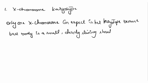 14-a-human-individual-is-phenotypically-female-but-her-interphase-somatic-nuclei-show-the-presence-of-2-barr-bodies-how-many-x-chromosomes-would-you-expect-to-see-in-her-karyotype-explain-yo-33213