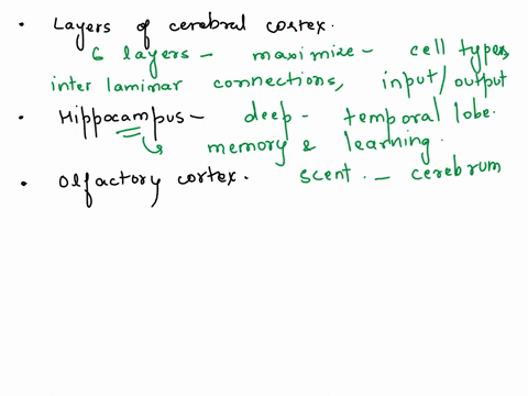 write-in-your-own-words-what-you-think-you-should-remember-about-the-layers-of-the-cerebral-cortex-the-hippocampus-the-olfactory-cortex-the-neocortex-primary-sensory-areas-secondary-sensory-14459