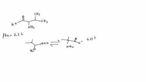 the-pka-values-for-valine-are-232-and-962-draw-the-structure-of-valine-circle-the-functional-group-that-associated-with-the-value-232-at-what-ph-is-this-group-20-ionized-show-all-calculation-18998