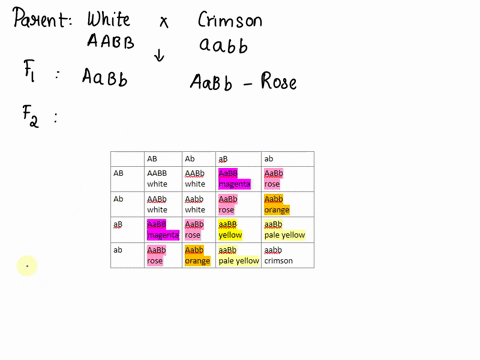in-four-oclock-plants-many-flower-colors-are-observed-in-a-cross-involving-two-true-breeding-strains-one-crimson-and-the-other-white-all-of-the-f1-generation-were-rose-color-in-the-f2-four-n-26404
