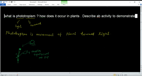 what-is-phototropism-how-does-it-occur-in-plants-describe-ab-activity-to-demonstrate-54232